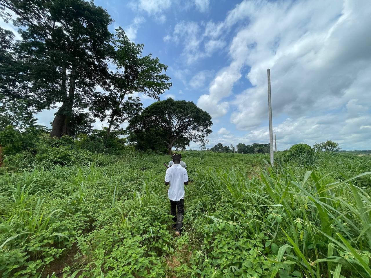 Seman Azokro
